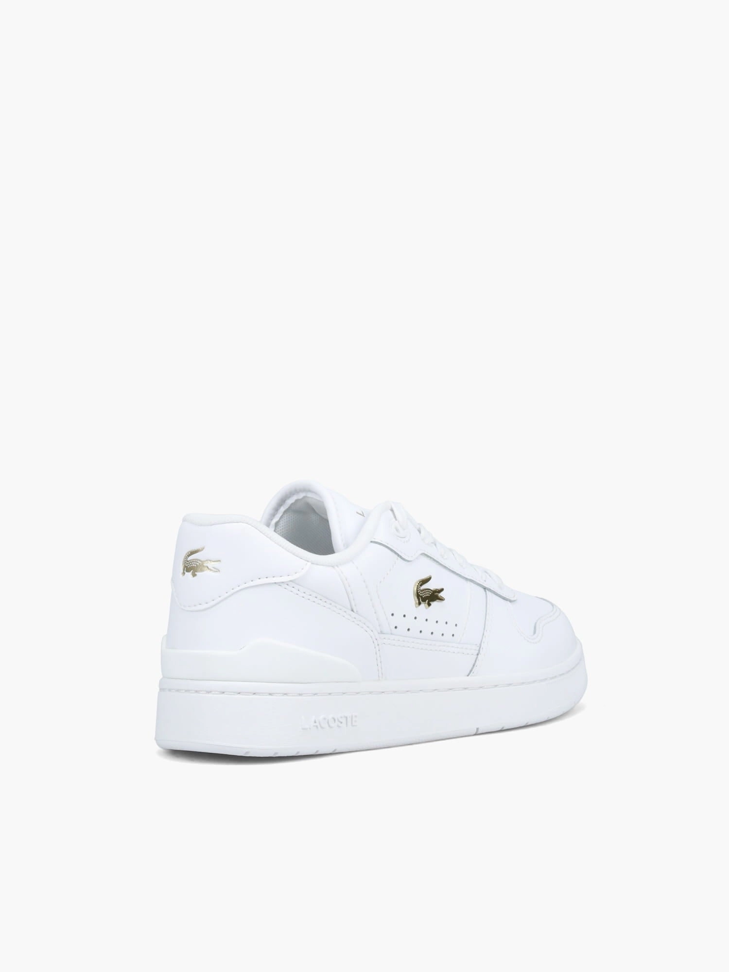 Thermoplastic Reinforcement Tclip Set 224 Wht Gold leather