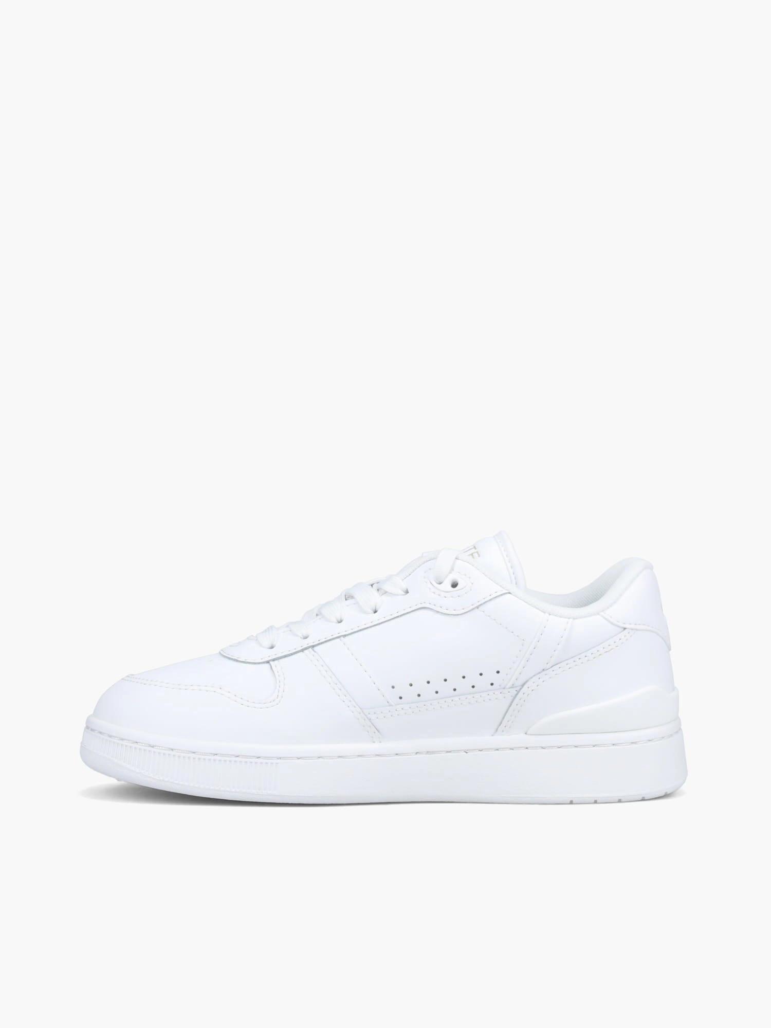 Tclip Set 224 Wht Gold leather Durable Binding