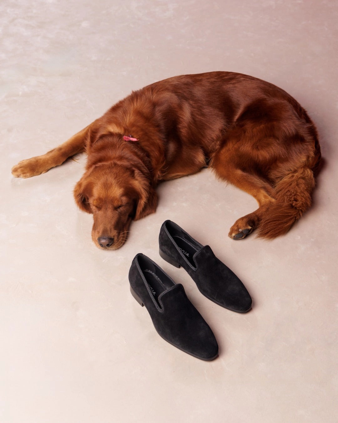 Chava Black Suede Client Dinner