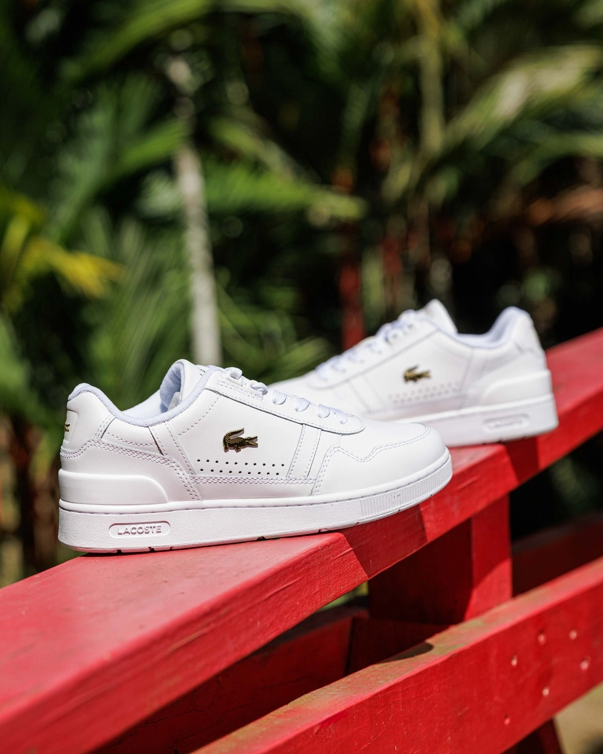 T Clip 124 White Gold leather RubberOutsole