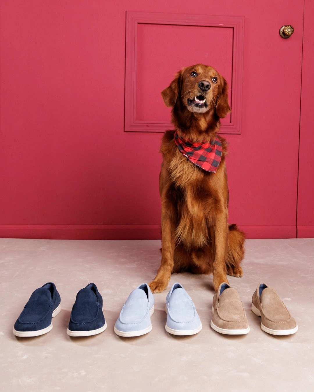 Fast Fit Viserys Navy Suede